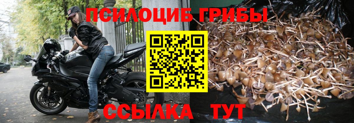 Галлюциногенные грибы Magic Shrooms  Галлюциногенные грибы ЛСД  Вход с VPN  Алейск 